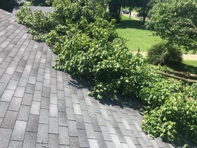 storm damage mansfield ohio roof with fallen tree on it