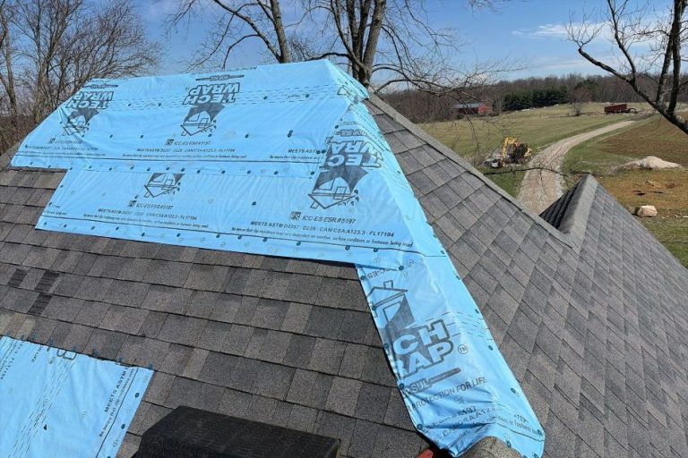 Do You Have Storm Damage?